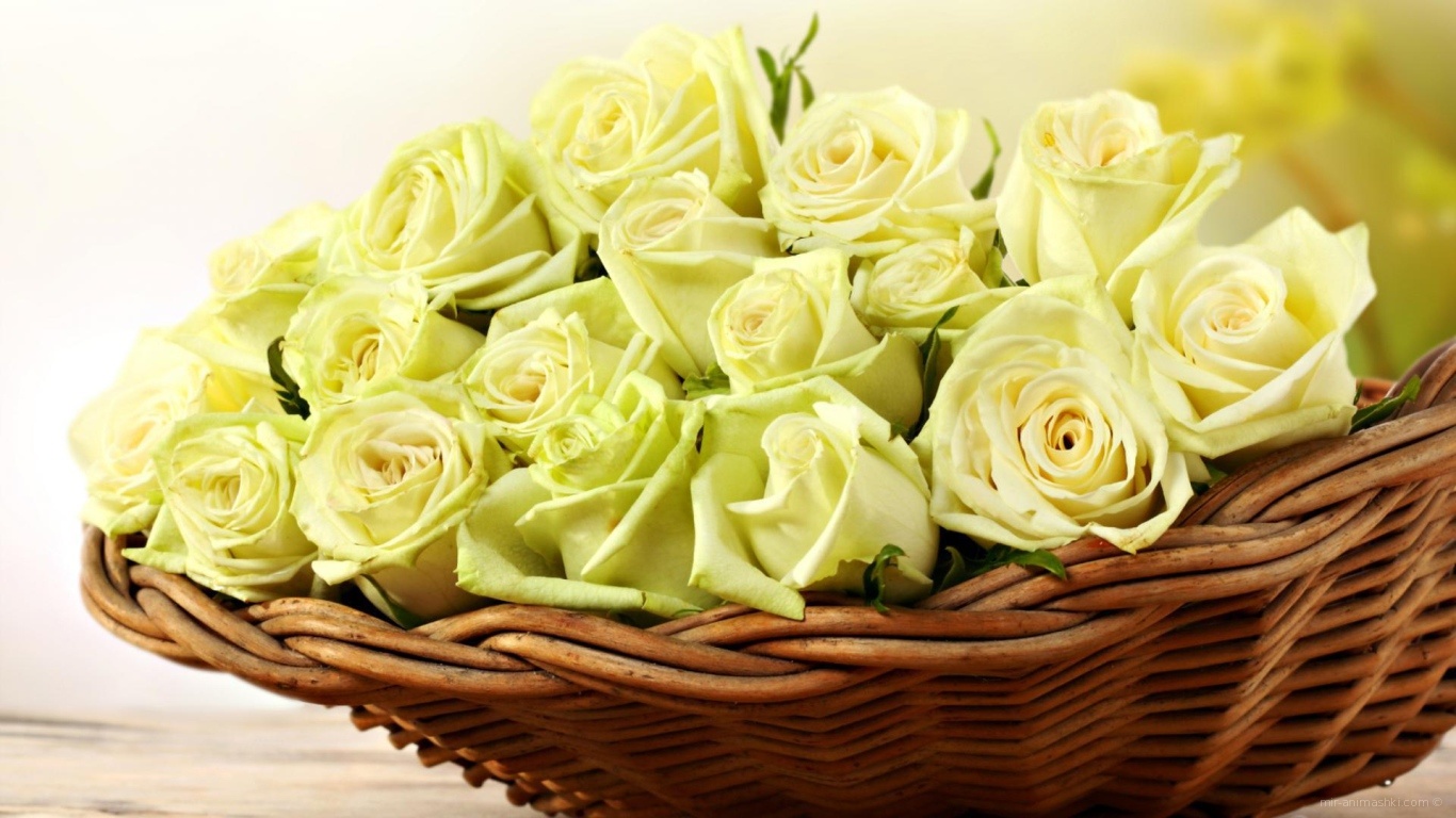 Жёлтые розы в корзине для женщин - C 8 марта поздравительные картинки