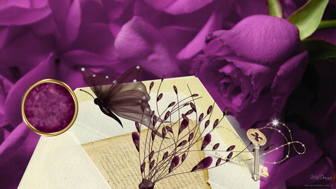 Фиолетовая роза, рисунок на 8 марта - C 8 марта поздравительные картинки