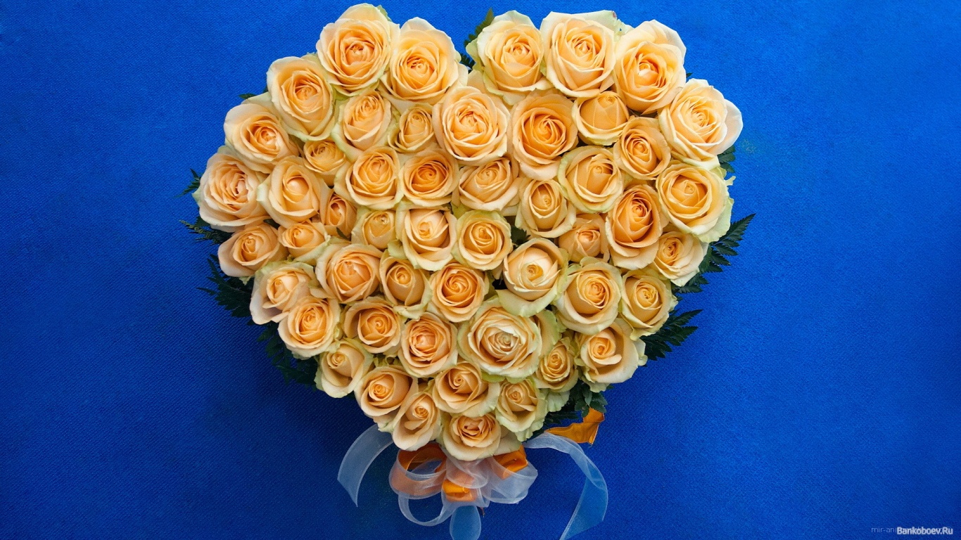 Жёлтые розы в виде сердца на восьмое марта - C 8 марта поздравительные картинки