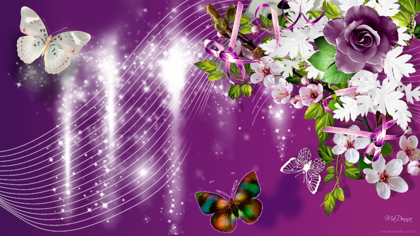 Фиолетовые розы и другие цветы, красивая картинка на 8 марта - C 8 марта поздравительные картинки