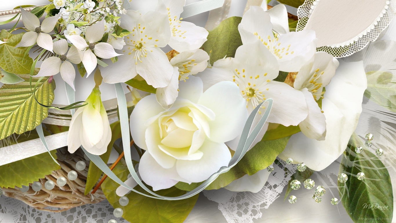 Белая роза и другие цветы, картинка на восьмое марта - C 8 марта поздравительные картинки