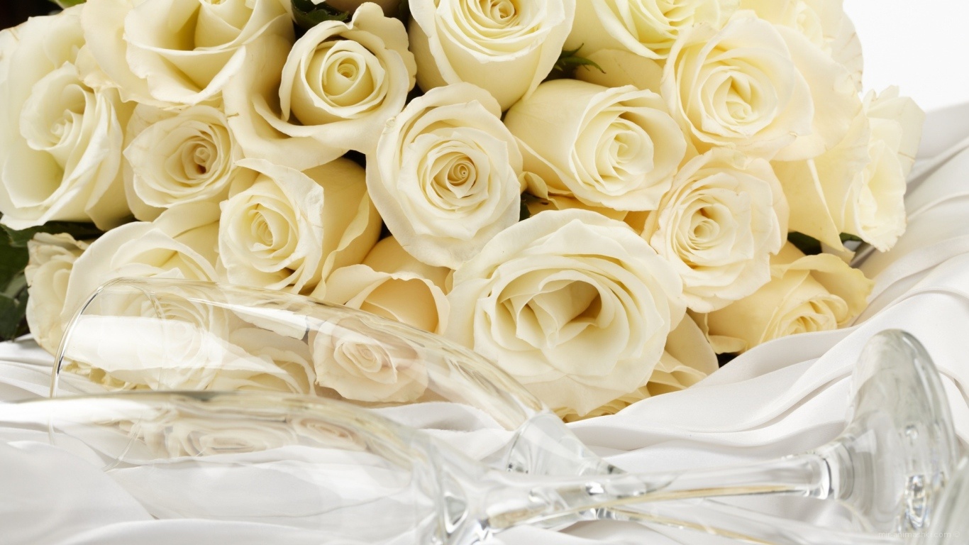 Жёлтые розы и бокал для шампанского для восьмого марта - C 8 марта поздравительные картинки
