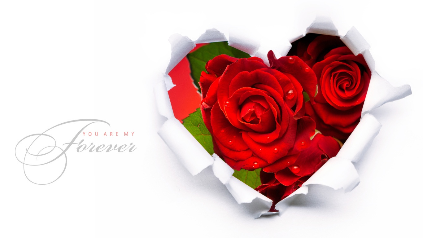 Красивые красные розы на 8 марта - C 8 марта поздравительные картинки