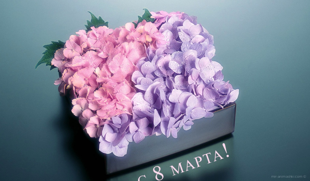 Коробка с цветами на 8 марта - C 8 марта поздравительные картинки