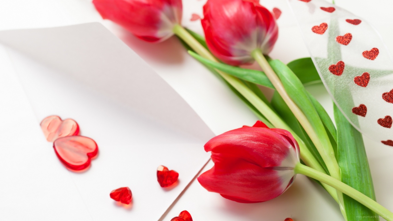 Красные тюльпаны на 8 марта - C 8 марта поздравительные картинки