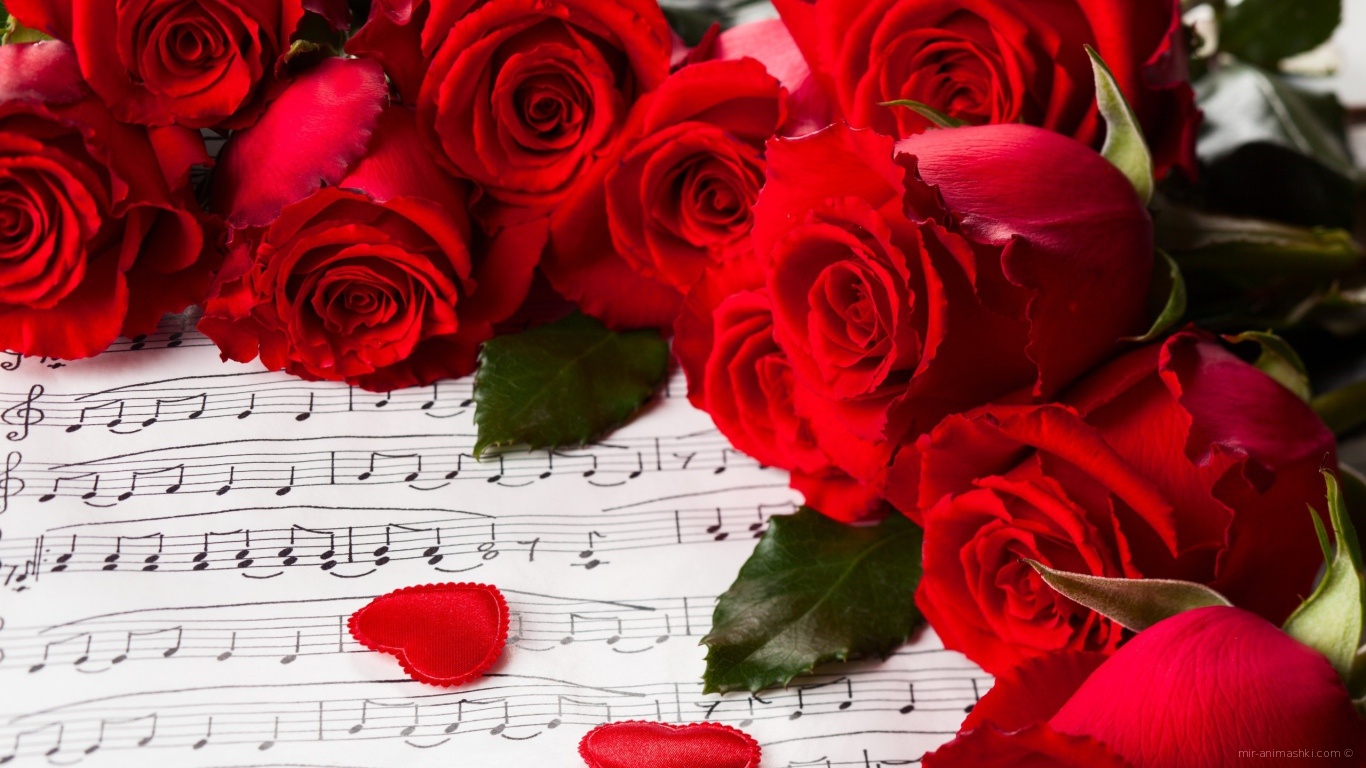 Красные розы на 8 марта на фоне нот - C 8 марта поздравительные картинки