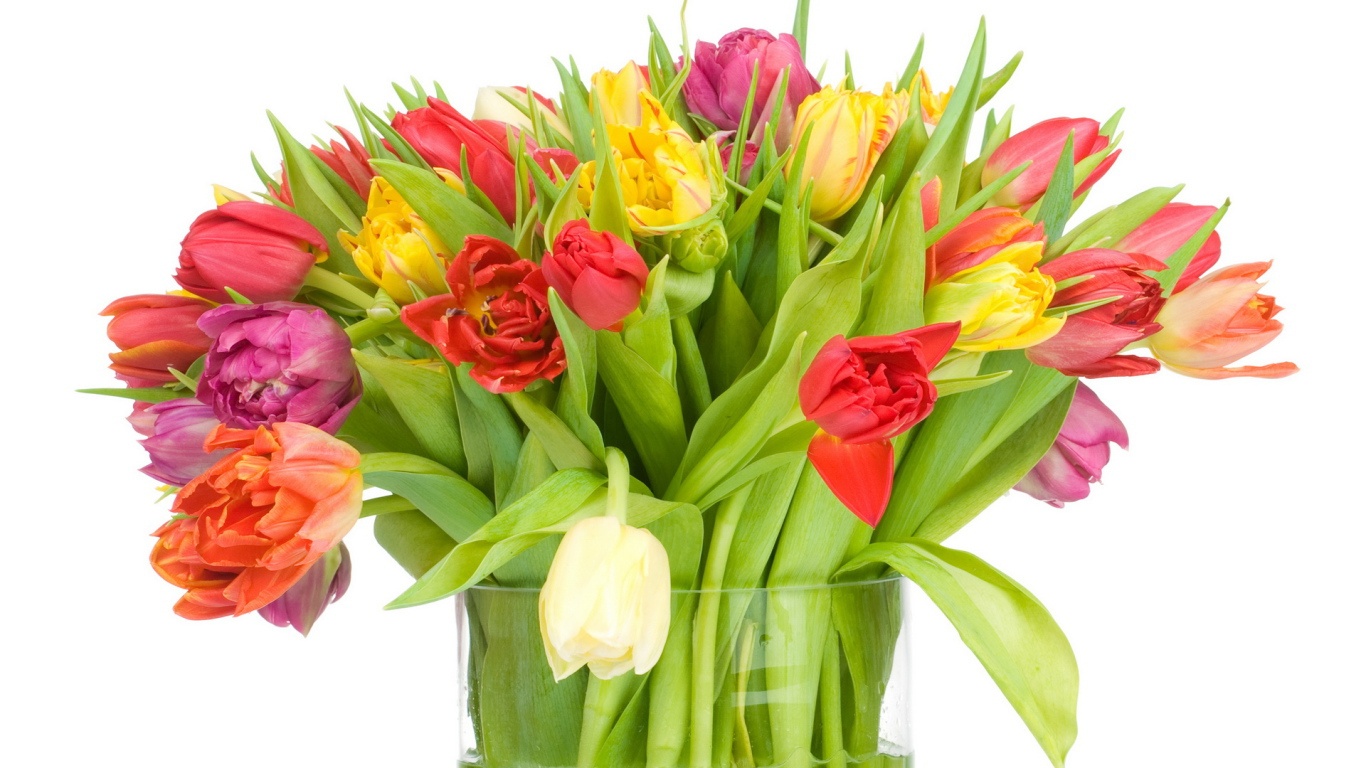 Большой букет тюльпанов девушке на 8 марта - C 8 марта поздравительные картинки