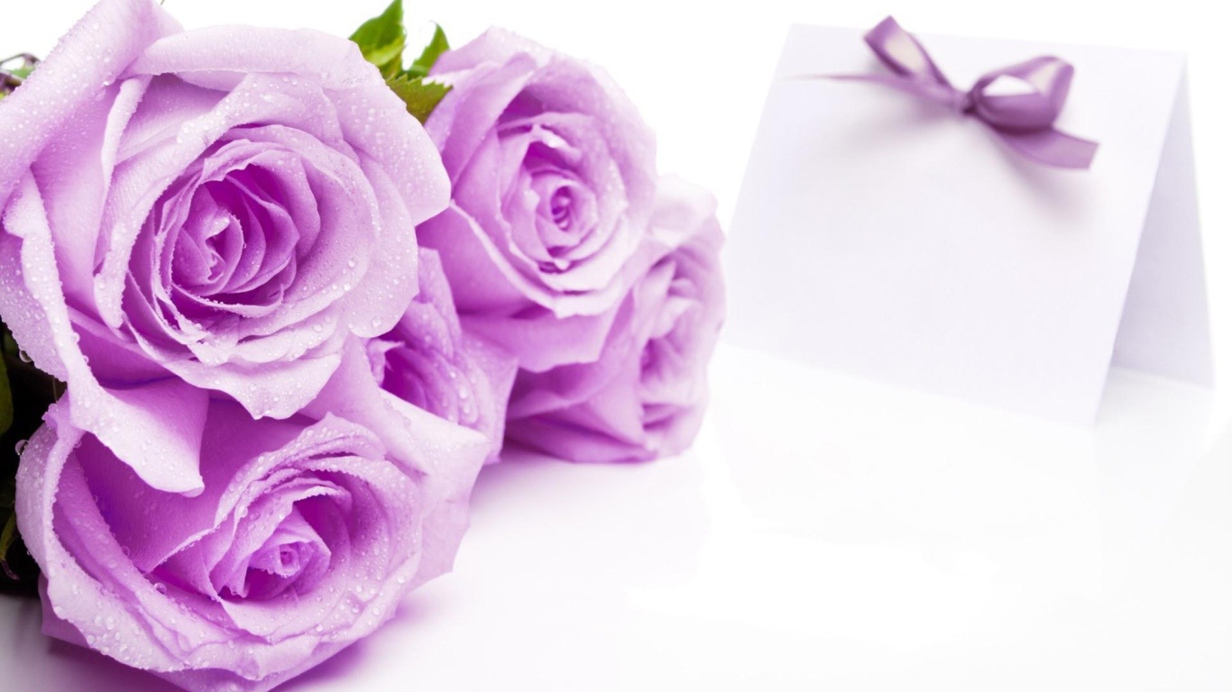 Сиреневые розы на 8 марта - C 8 марта поздравительные картинки