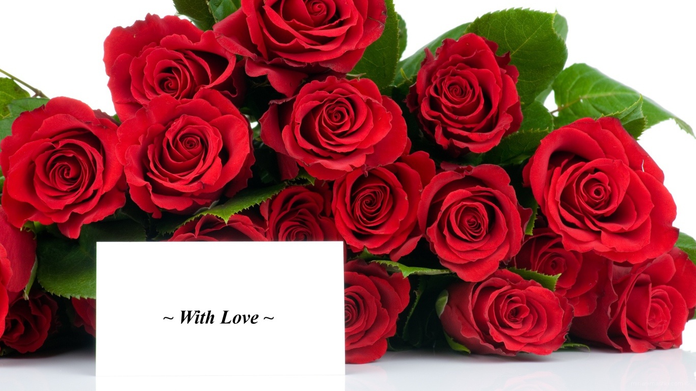 Красные розы на 8 марта с открыткой - C 8 марта поздравительные картинки