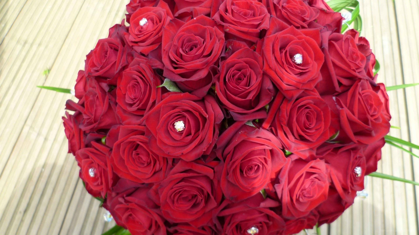 Круглый букет красных роз на 8 марта для любимой - C 8 марта поздравительные картинки