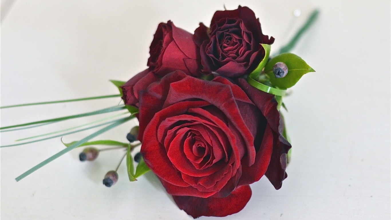 Красивый букет красных роз на 8 марта - C 8 марта поздравительные картинки