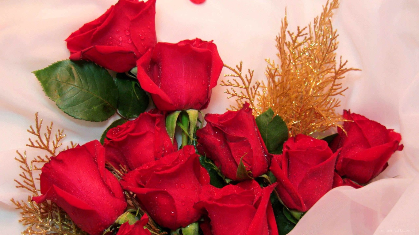Красные розы для женщин на 8 марта - C 8 марта поздравительные картинки