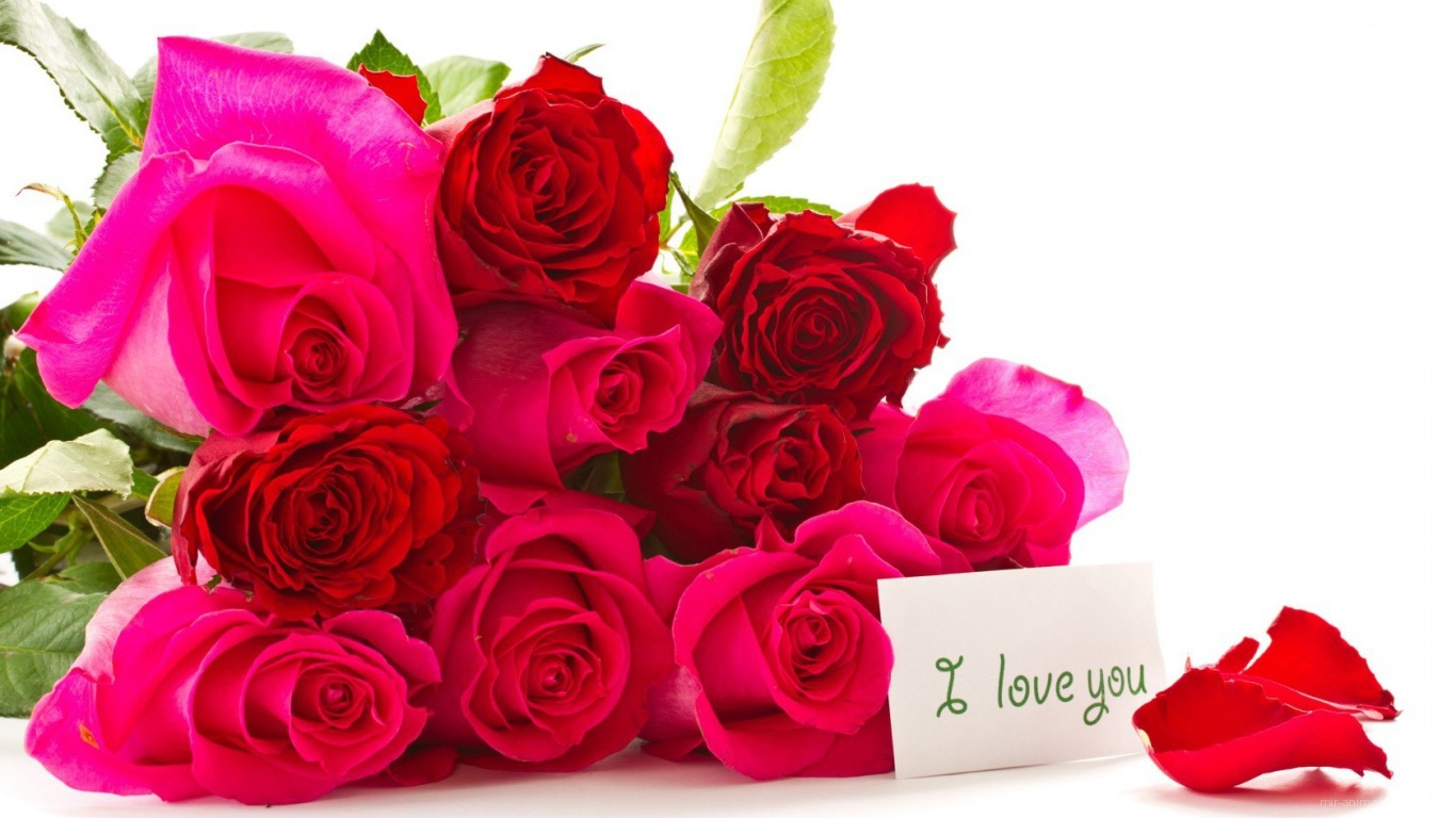 Букет красных роз для любимой на 8 марта - C 8 марта поздравительные картинки