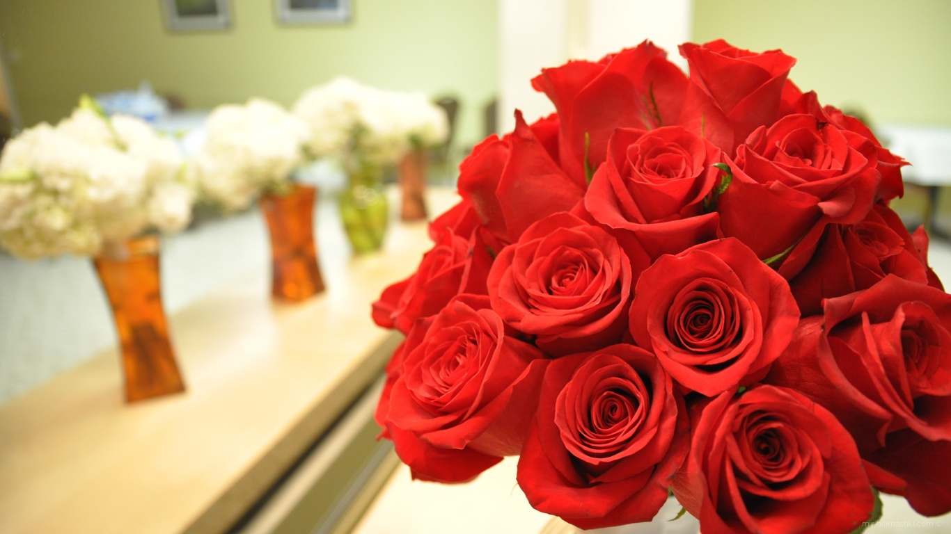 Прекрасные красные розы на 8 марта - C 8 марта поздравительные картинки