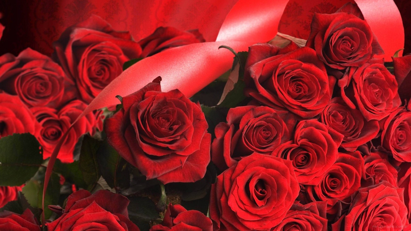 Красные розы на 8 марта с красными лентами - C 8 марта поздравительные картинки