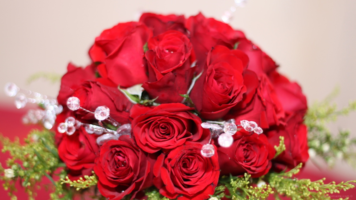 Красные розы на 8 марта с зелеными ветками - C 8 марта поздравительные картинки