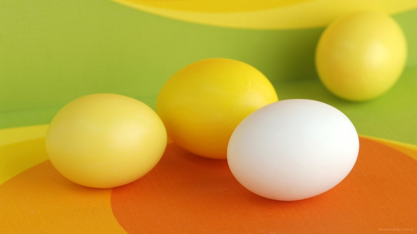 Желтые и белое яйцо на Пасху - C Пасхой поздравительные картинки