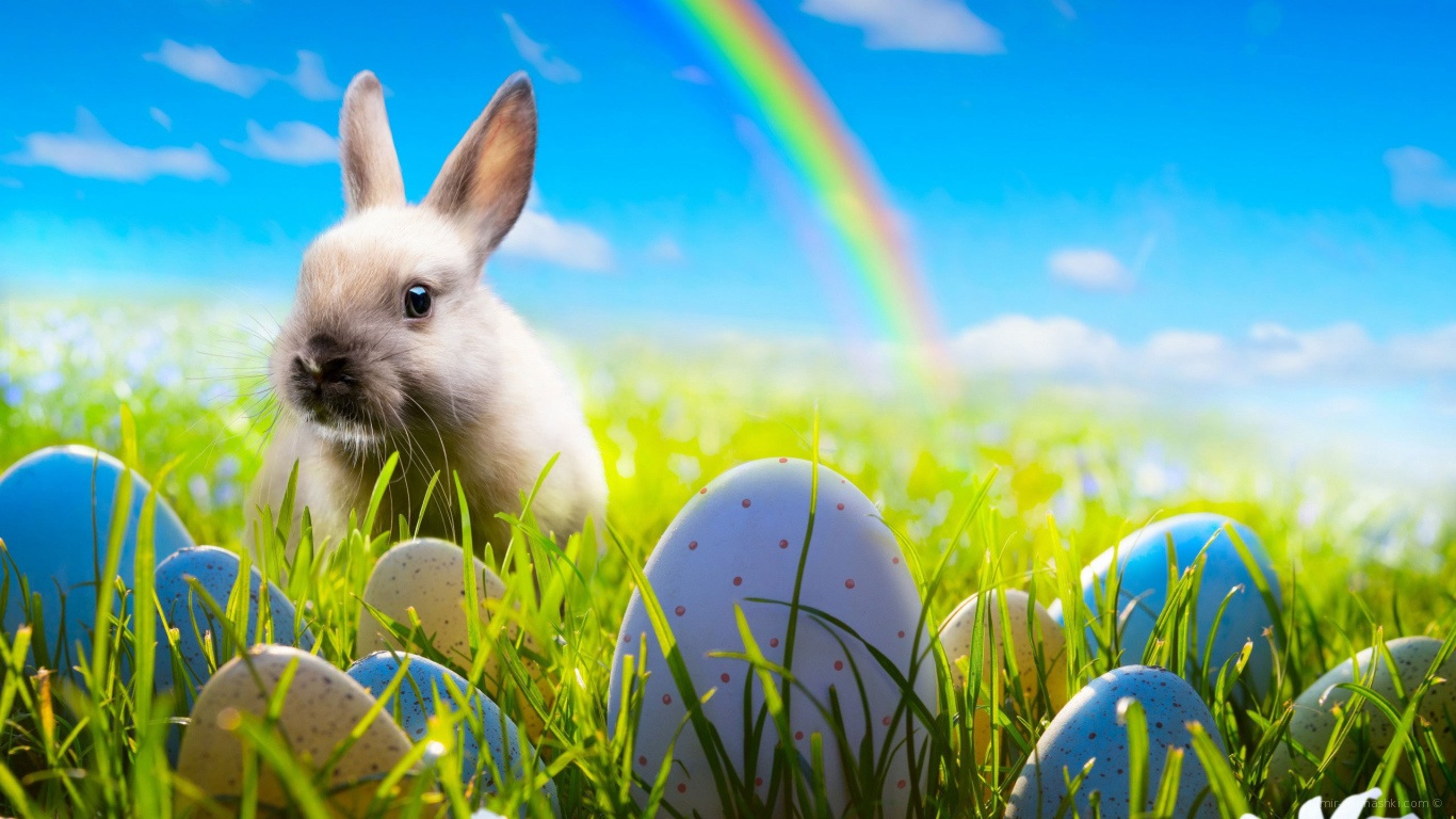 Кролик на фоне радуги на Пасху - C Пасхой поздравительные картинки