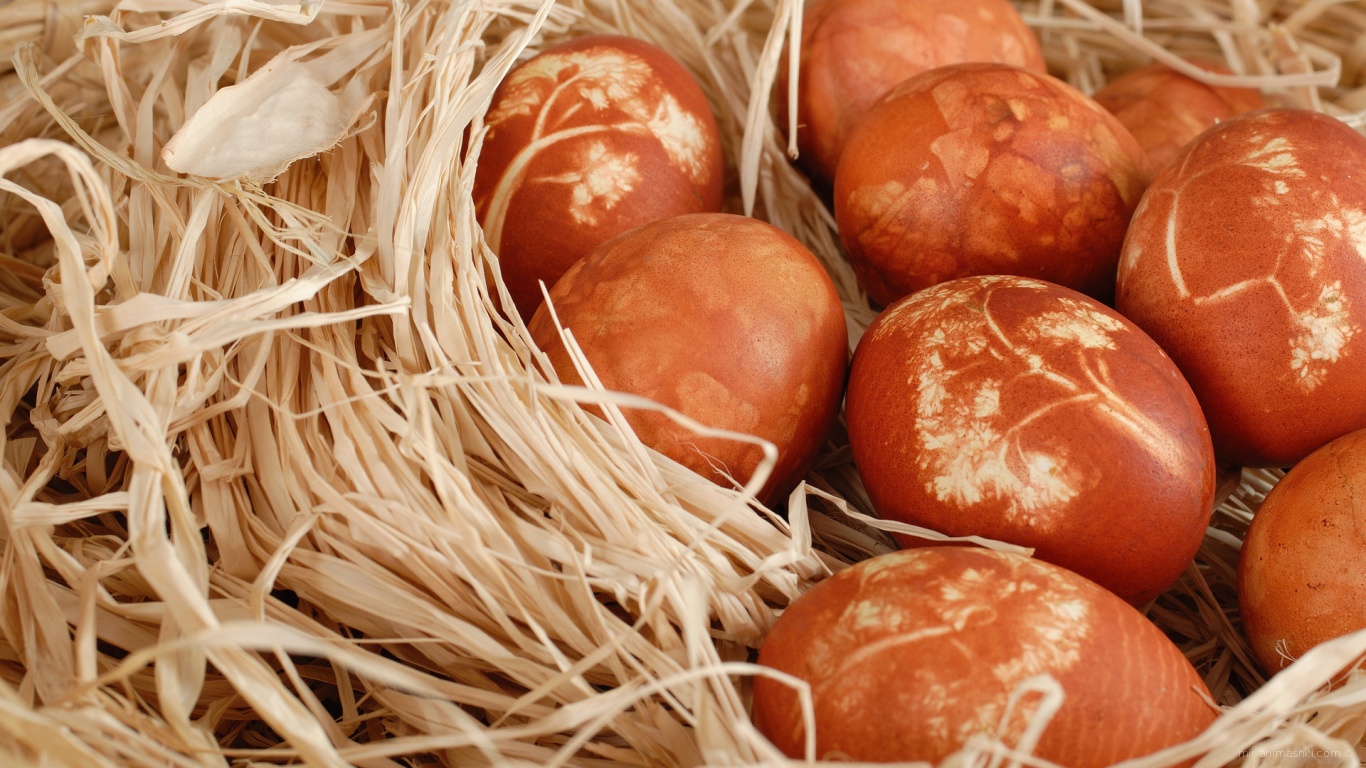 Гнездо с яйцами на Пасху - C Пасхой поздравительные картинки