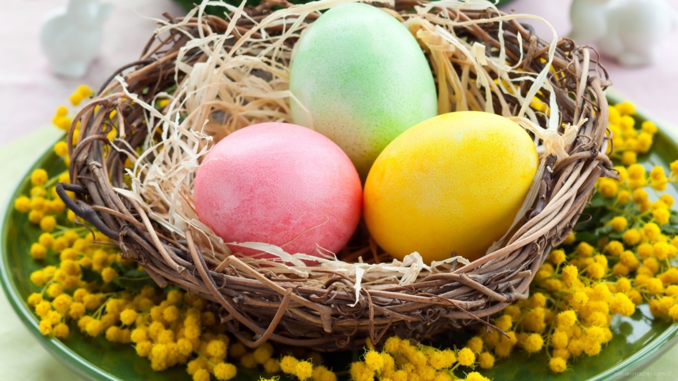 Яйца в плетеной тарелке на Пасху - C Пасхой поздравительные картинки