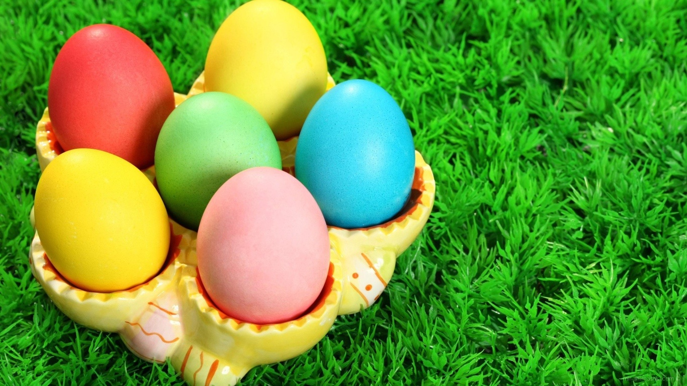 Разноцветные яйца на траве на Пасху - C Пасхой поздравительные картинки