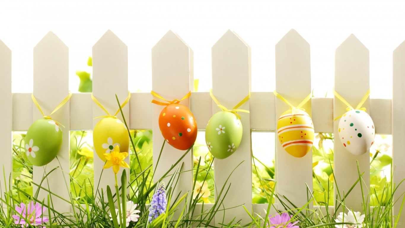 Яйца на заборе на Пасху - C Пасхой поздравительные картинки
