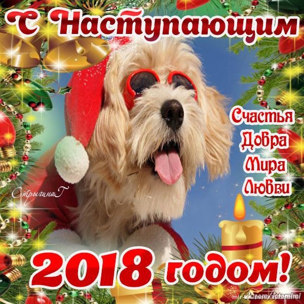 Открытки с наступающим Новым Годом Собака - C наступающим новым годом 2022 поздравительные картинки