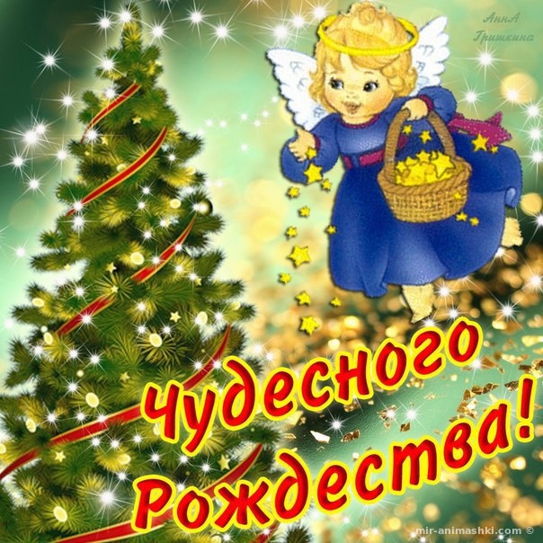 Чудесного Рождества - C Рождеством Христовым поздравительные картинки