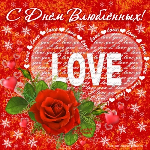 Признаться в любви девушке открыткой на 14 февраля - С днем Святого Валентина поздравительные картинки