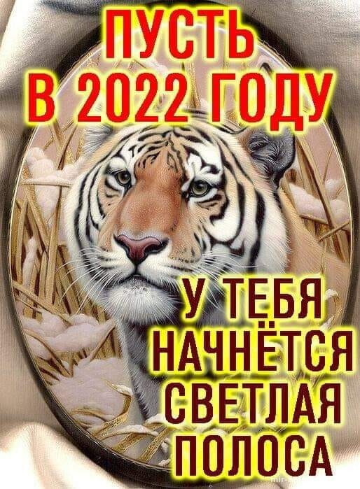 Наступает 2022 год - год тигра - C Новым годом 2022 поздравительные картинки