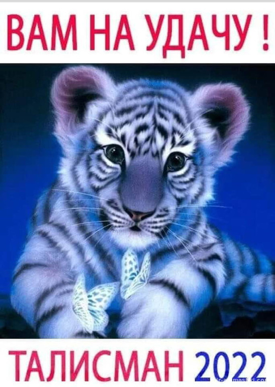 Талисман голубого водяного Тигра - C Новым годом 2022 поздравительные картинки