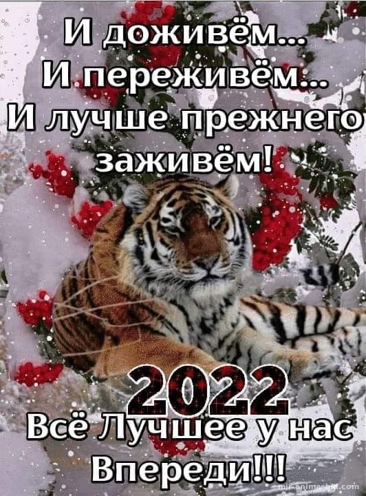 Год Тигра наступает - C Новым годом 2022 поздравительные картинки