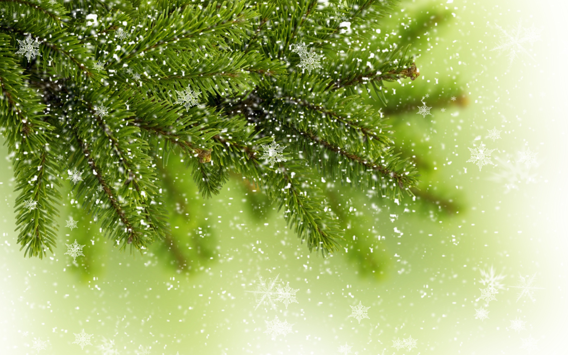Снежинки на ветке елки - C Рождеством Христовым поздравительные картинки