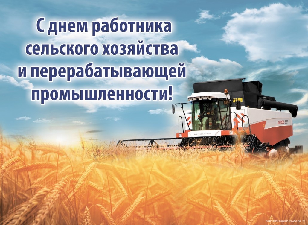 Поздравительная открытка на День работника сельского хозяйства и перерабатывающей промышленности - 9 октября 2022