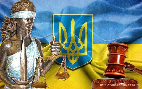 День адвокатуры Украины