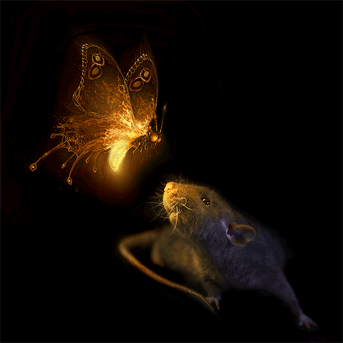 Картинка Бабочка и мышь~Анимационные блестящие открытки GIF