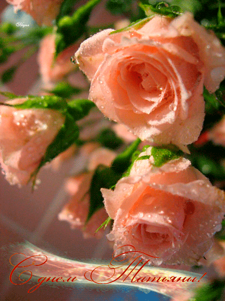 Открытка с розами для Татьяны в Татьянин день~Анимационные блестящие открытки GIF