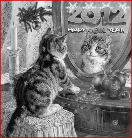 С Наступающим годом кота~Анимационные блестящие открытки GIF