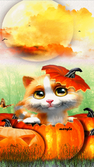 Хэллоуин с котенком~Анимационные блестящие открытки GIF