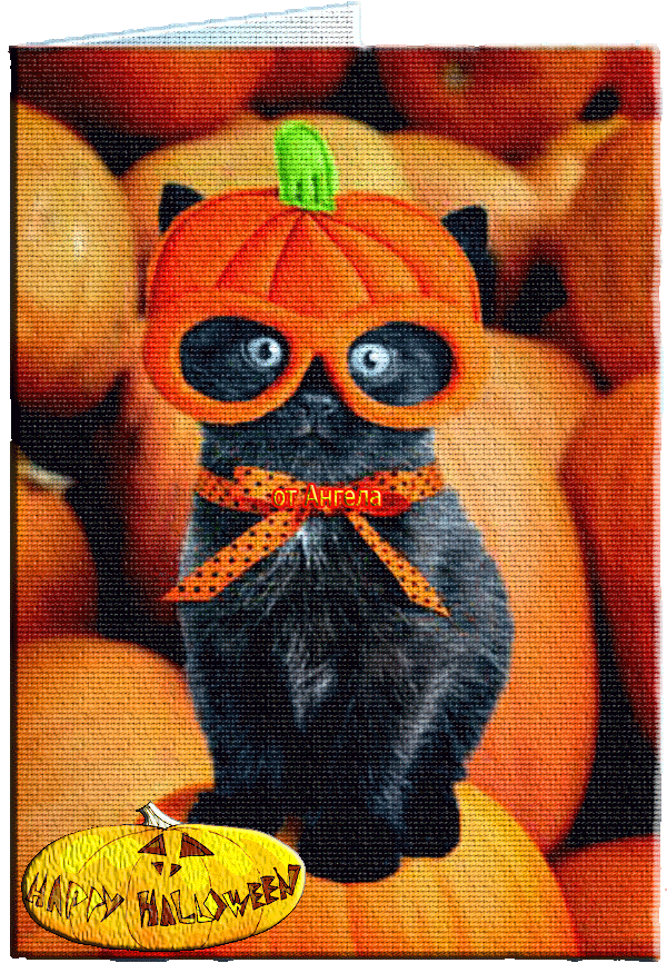 Котёнок в шлеме)~Анимационные блестящие открытки GIF