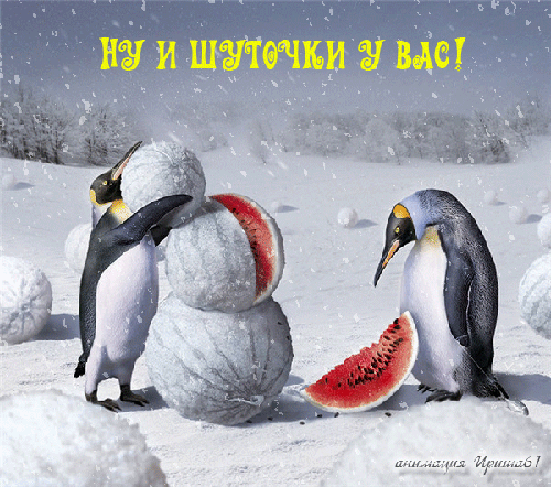 Из жизни пингвинов С 1 апреля~Анимационные блестящие открытки GIF