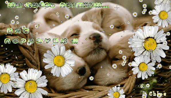 Позитивные щенки~Анимационные блестящие открытки GIF