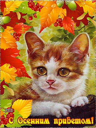 С Осенним приветом!!~Анимационные блестящие открытки GIF