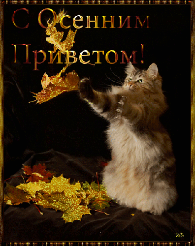 С Осенним Приветом!~Анимационные блестящие открытки GIF