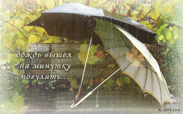 два зонтика под дождём~Анимационные блестящие открытки GIF