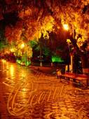 Осенние дожди - Осень открытки и картинки