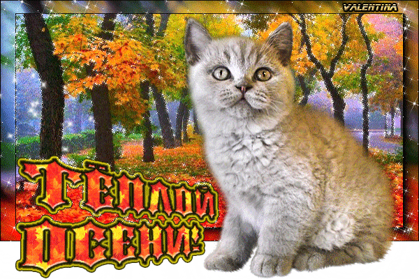 Открытка Тёплой Осени!~Анимационные блестящие открытки GIF