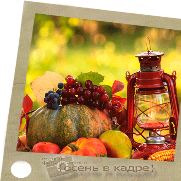 Осенний фото натюрморт~Анимационные блестящие открытки GIF