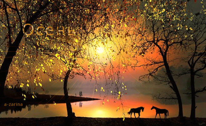 Закат на реке~Анимационные блестящие открытки GIF