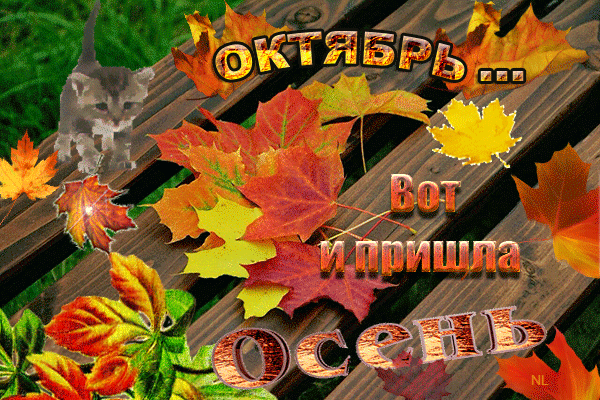 Октябрьская осень~Анимационные блестящие открытки GIF